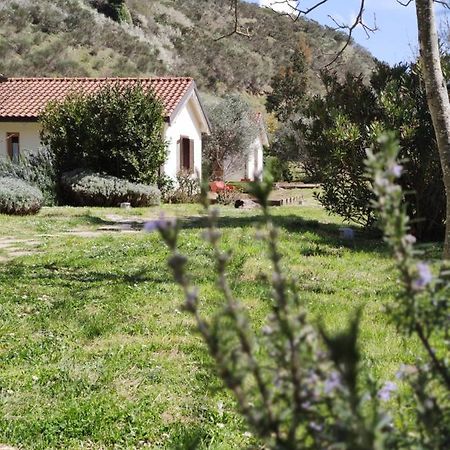 Taverna Centomani Potenza Eksteriør bilde