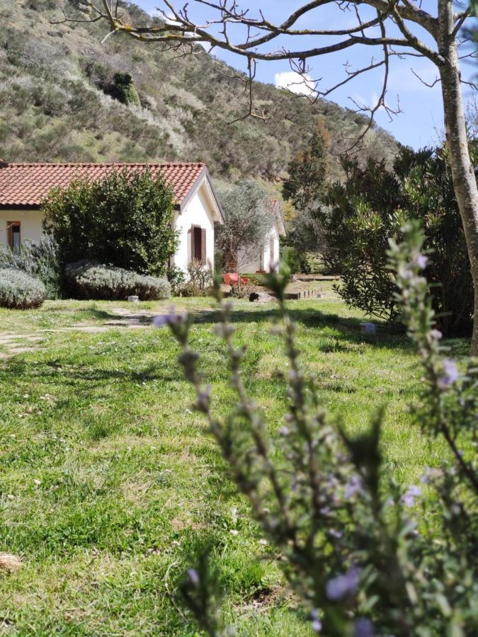 Taverna Centomani Potenza Eksteriør bilde